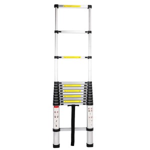 Single Side Extension 12-Step Aluminum Stretchable Ladder Black & Silver