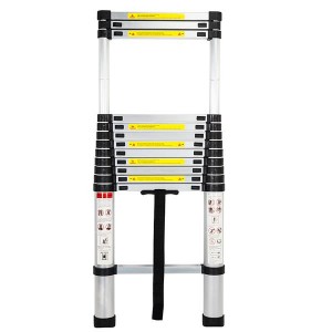 Single Side Extension 12-Step Aluminum Stretchable Ladder Black & Silver